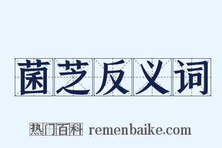 菌芝反义词是什么意思的图片